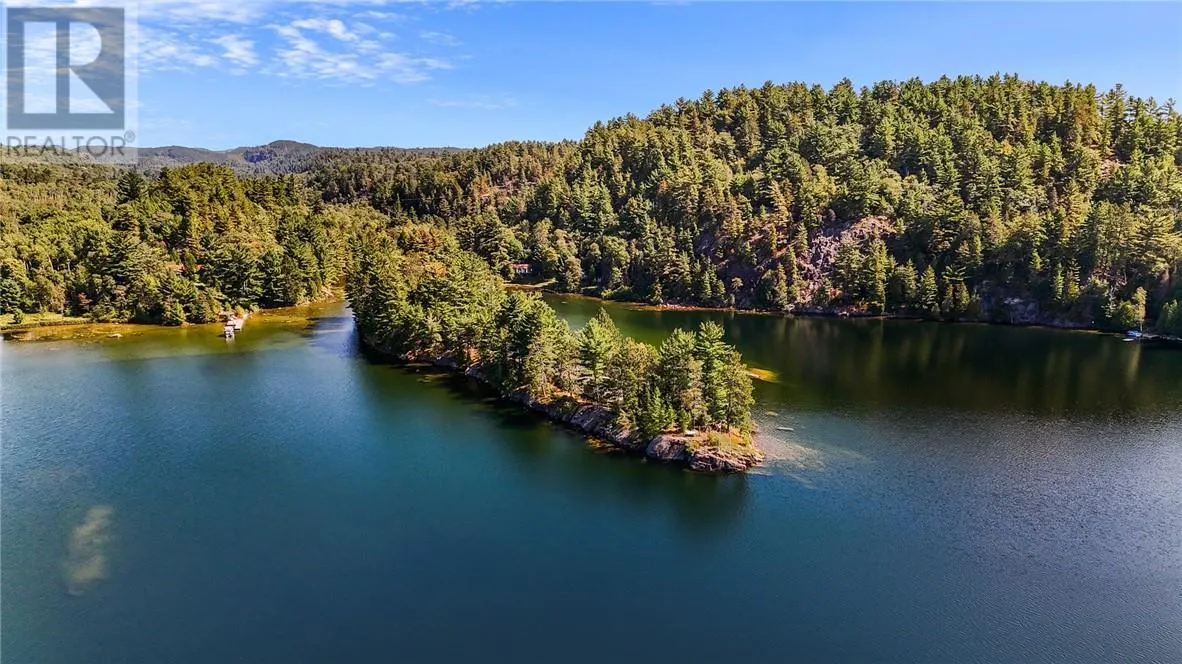 1 Windy Lake Shorty's Island