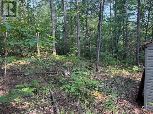 1811 Panache lake rd (regional rd 10)