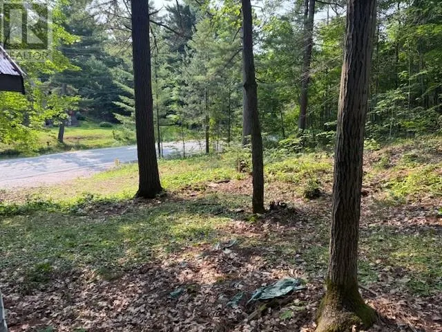 1811 Panache lake rd (regional rd 10)