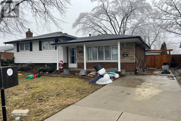 1049 FRANK, Windsor
