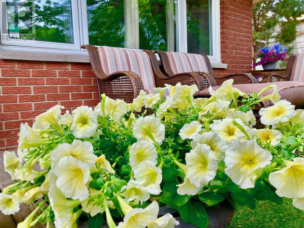 Listing 23006658 - Large Photo # 45