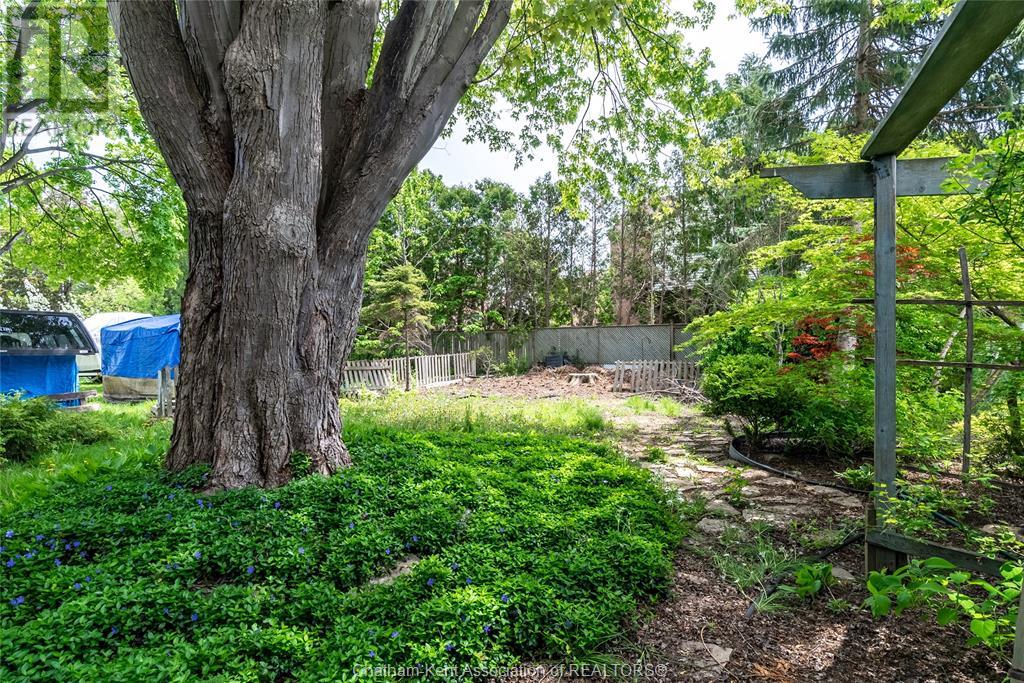 Listing 23008887 - Large Photo # 25