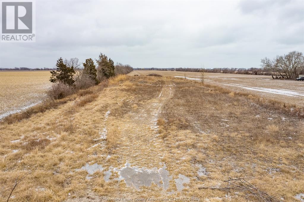 Listing 23009185 - Large Photo # 13