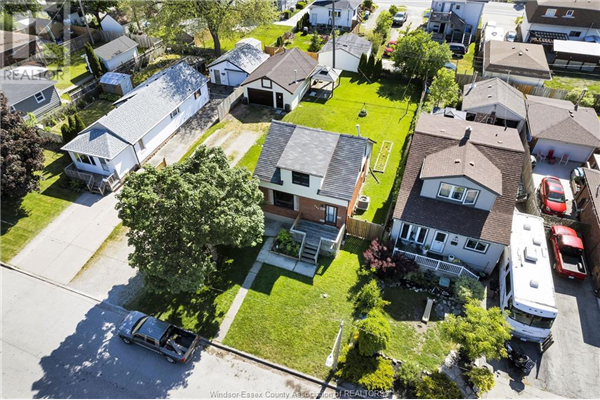 367 FRANK, Windsor
