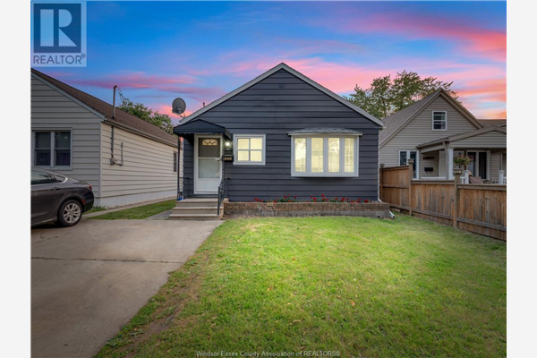 1655 FORD, Windsor