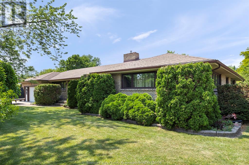 8 Rose AVENUE