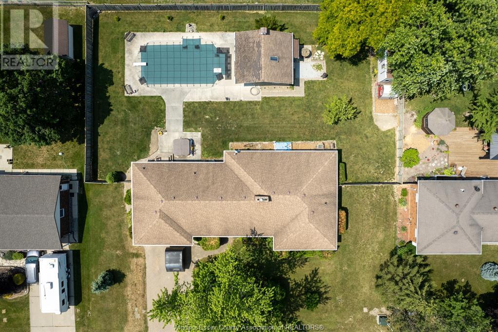 8 Rose AVENUE