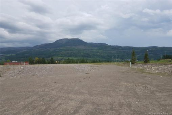 101 ASPEN DRIVE, Sparwood