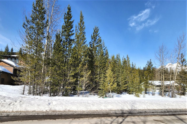 105 DEERBORNE DRIVE, Elkford