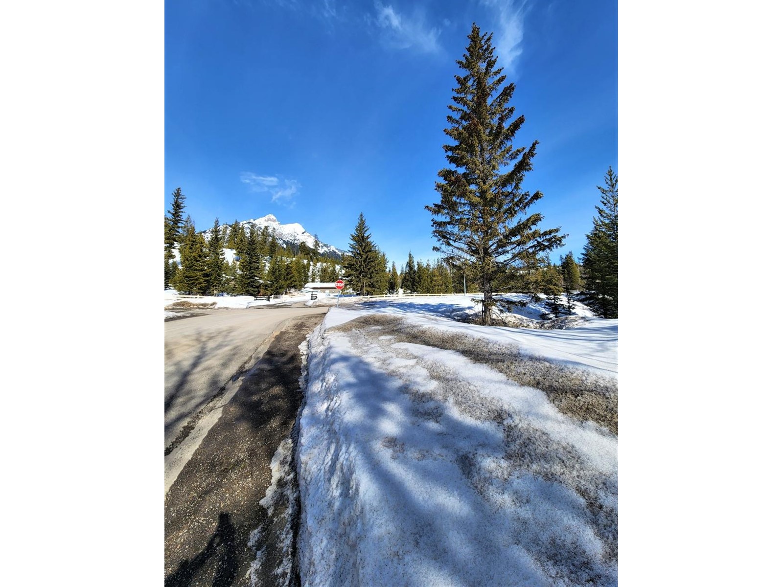 Listing 2463674 - Large Photo # 2