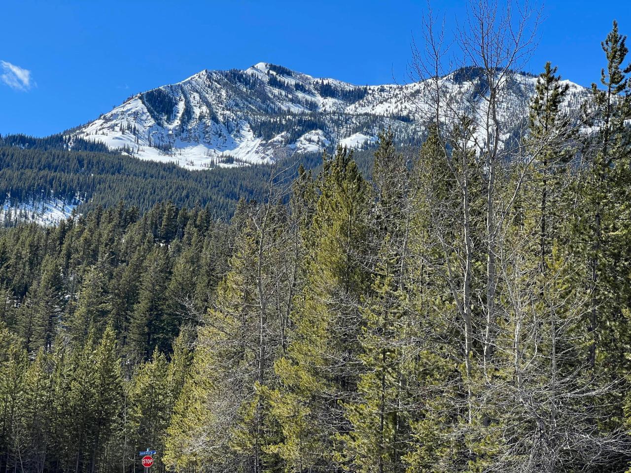 Listing 2463819 - Large Photo # 4