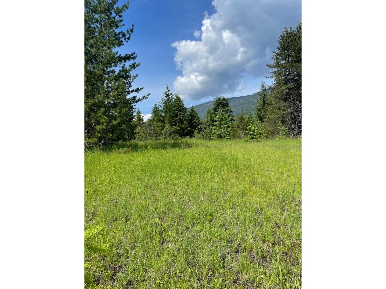 Listing 2465780 - Large Photo # 42