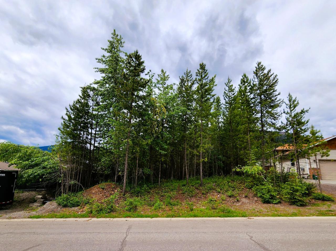 Listing 2466065 - Large Photo # 1