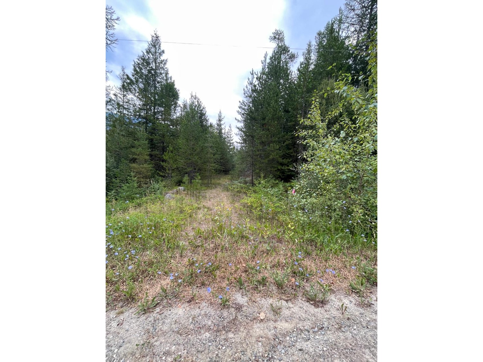 Listing 2466843 - Large Photo # 1