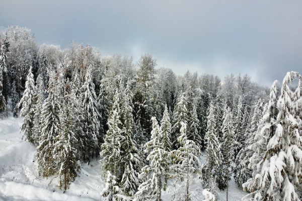 311 RIDGE ROAD, Rossland