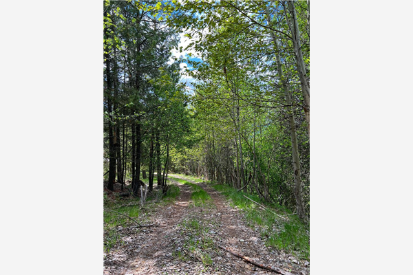 595 HIGHWAY 3A, Castlegar