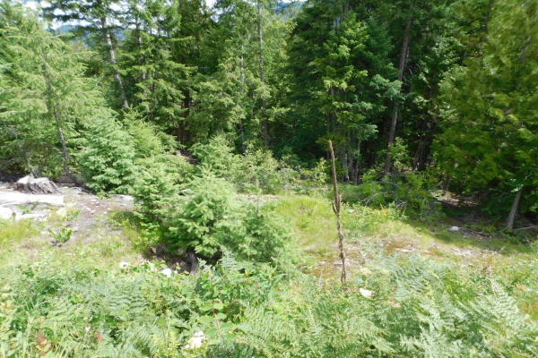 Lot 4 FORT PILA ROAD, Castlegar