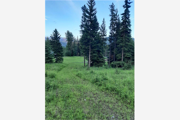 1191 MATEVIC ROAD, Sparwood