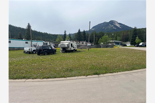 1558 NEWGATE CRESCENT, Elkford