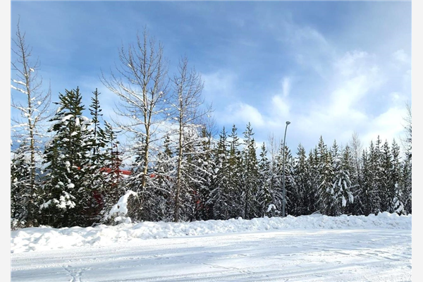 3 DEMPSEY PLACE, Elkford
