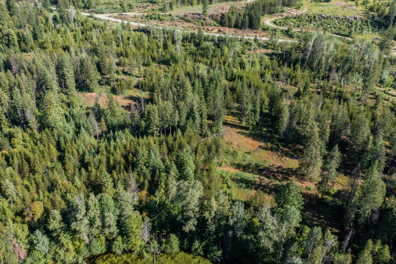 Listing 2470605 - Large Photo # 18