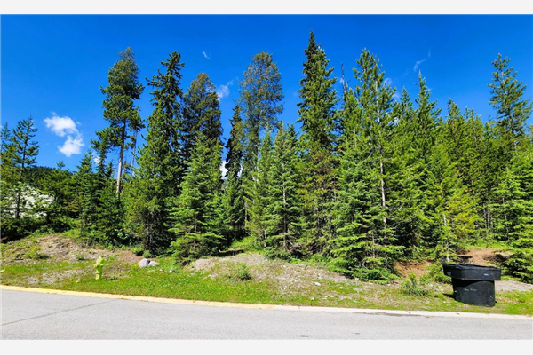32 DOUGLAS CRESCENT, Elkford