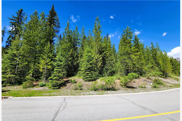34 DOUGLAS CRESCENT, Elkford