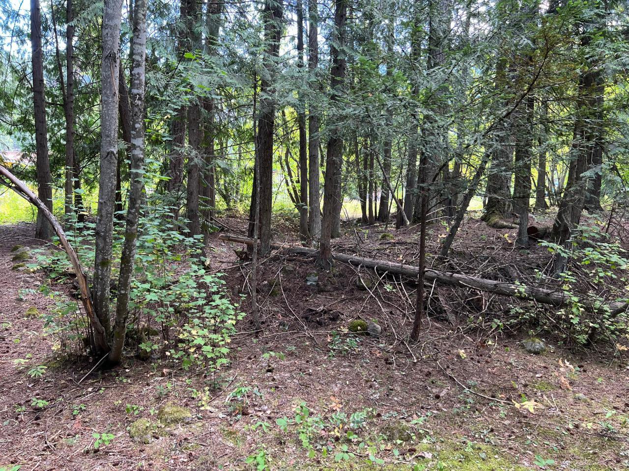 Listing 2472705 - Large Photo # 8