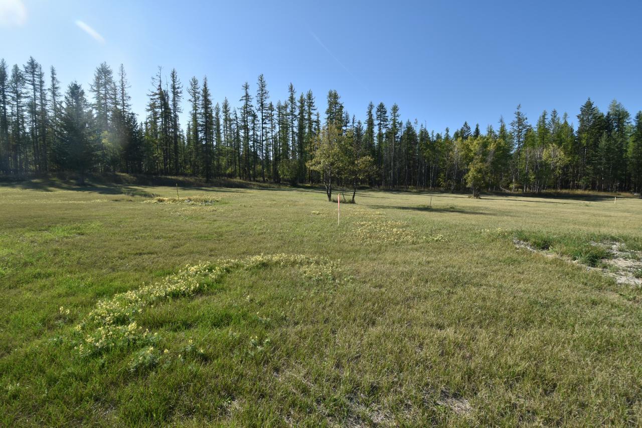 Lot 3 - 1701 17TH STREET S, #Lot 3