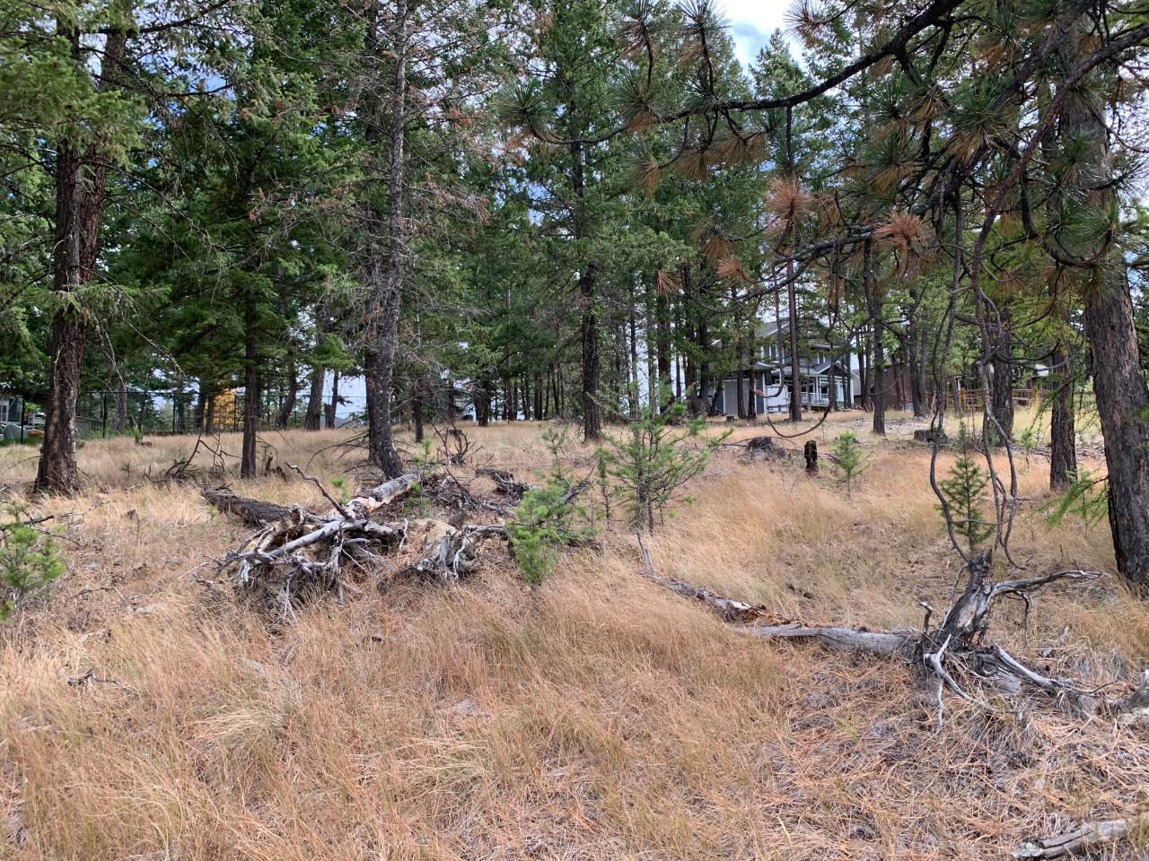 1519 MOUNT ROYAL RIDGE