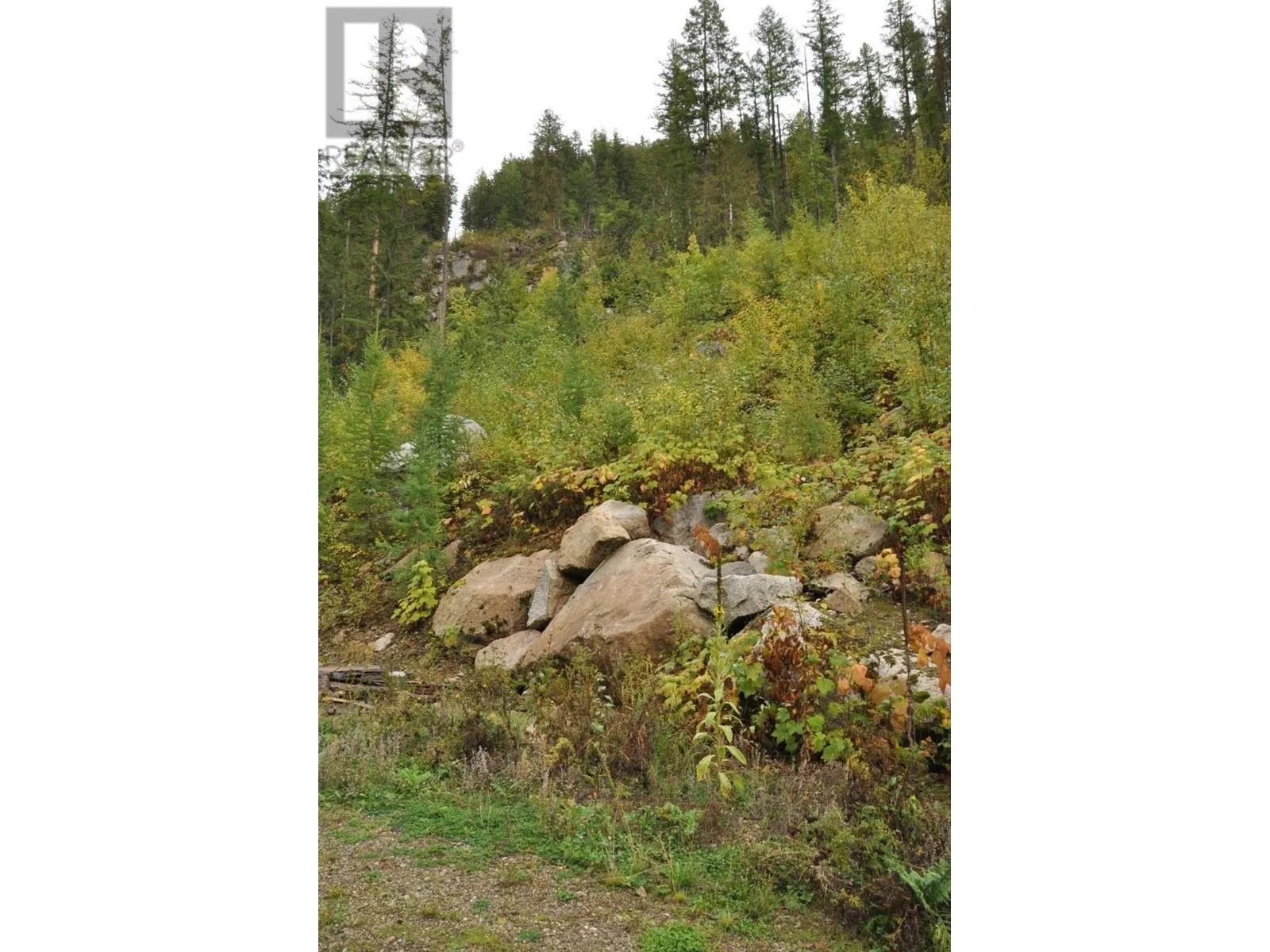 Lot 2 BEALBY POINT Road