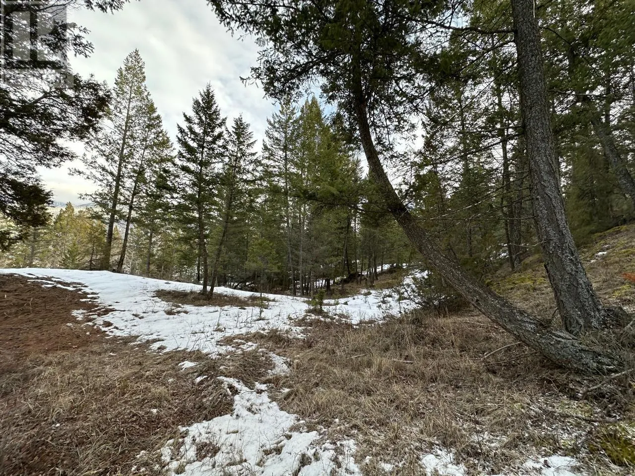 Lot 38 ROSE Terrace