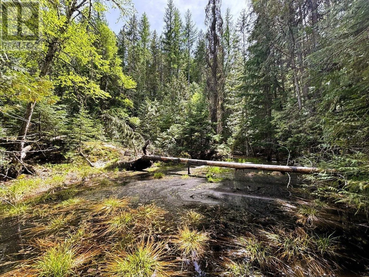 Lot 34 PASS CREEK Road