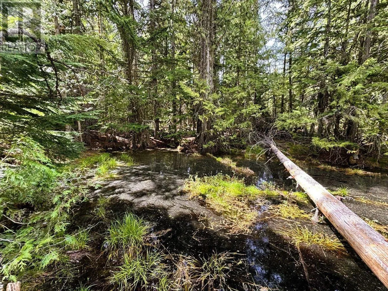 Lot 34 PASS CREEK Road