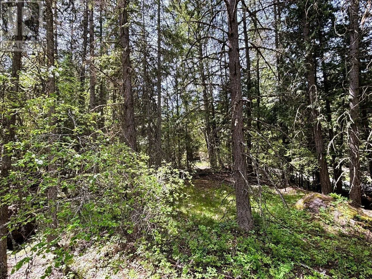 Lot 34 PASS CREEK Road