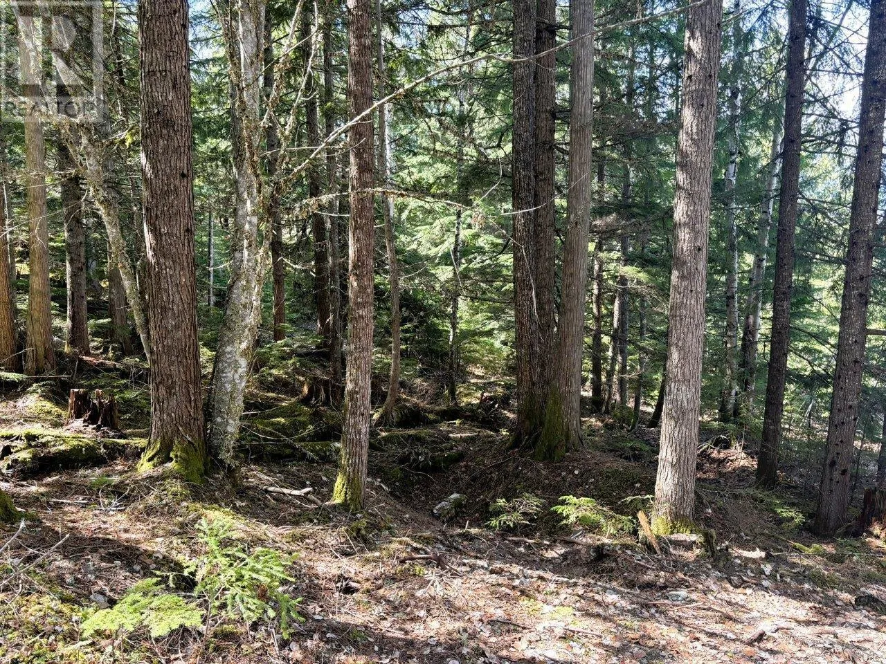 Lot 34 PASS CREEK Road