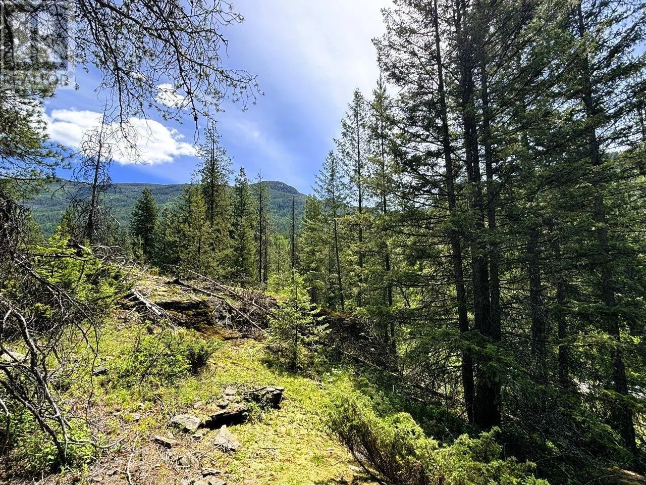 Lot 34 PASS CREEK Road
