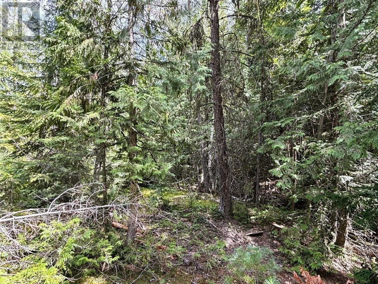 Lot 34 PASS CREEK Road