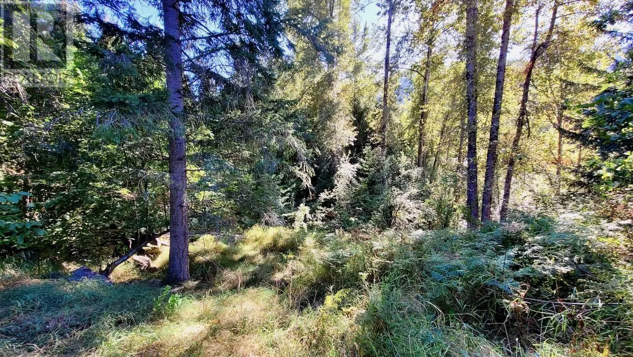 2010 CREEK Street