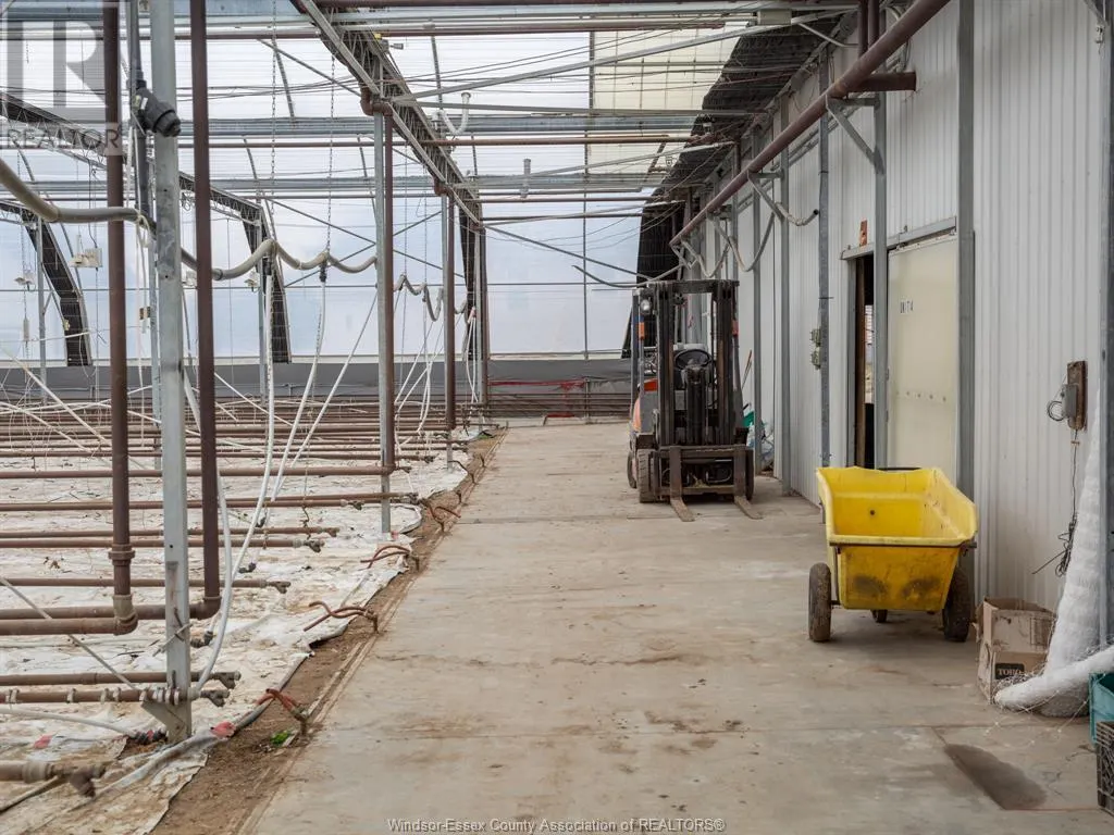 588 MERSEA RD 12