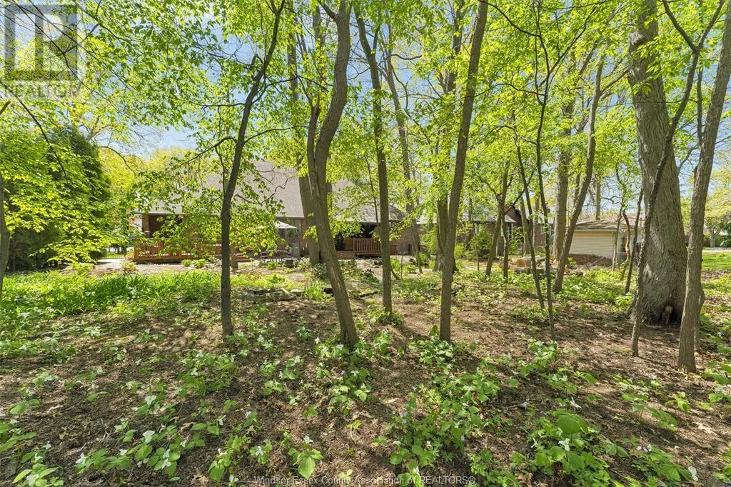 2220 SUZANNE STREET
