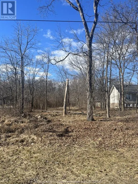 V/L CONCESSION ROAD 3 South