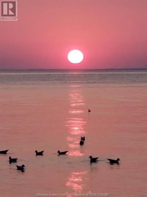700 POINT PELEE