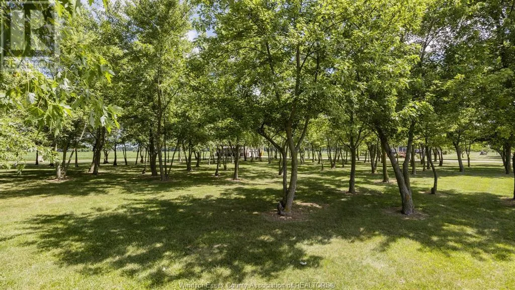 9800 9TH CONCESSION ROAD