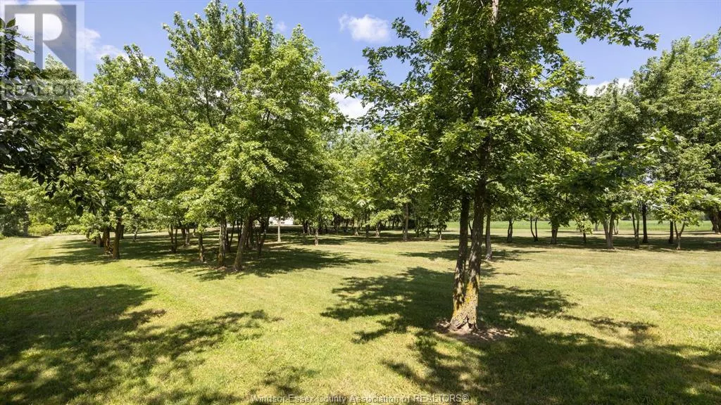 9800 9TH CONCESSION ROAD