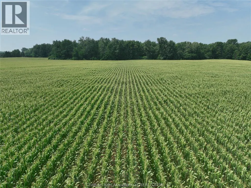 195 SECOND CONCESSION ROAD