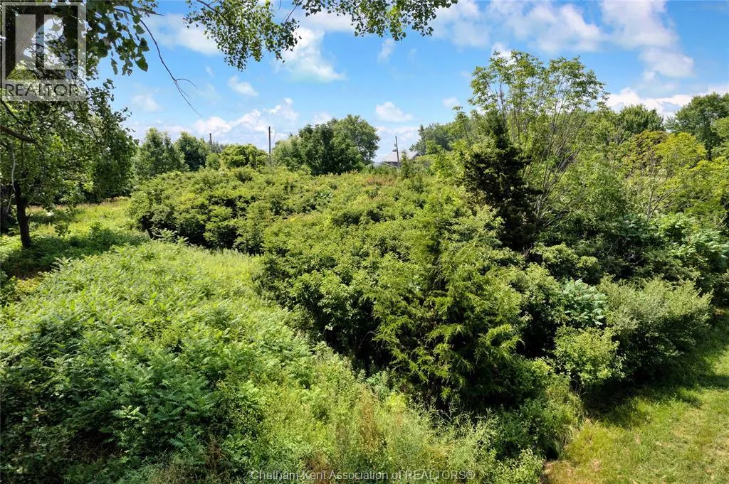 1281 BLUFF LINE