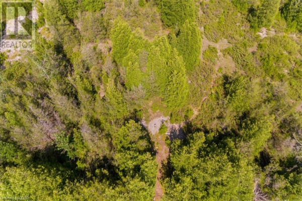 0 PT LT 21 CON 6 (PT 1) READ Road, Tyendinaga
