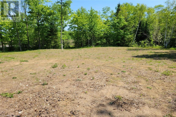 12491 HIGHWAY 41, Addington Highlands