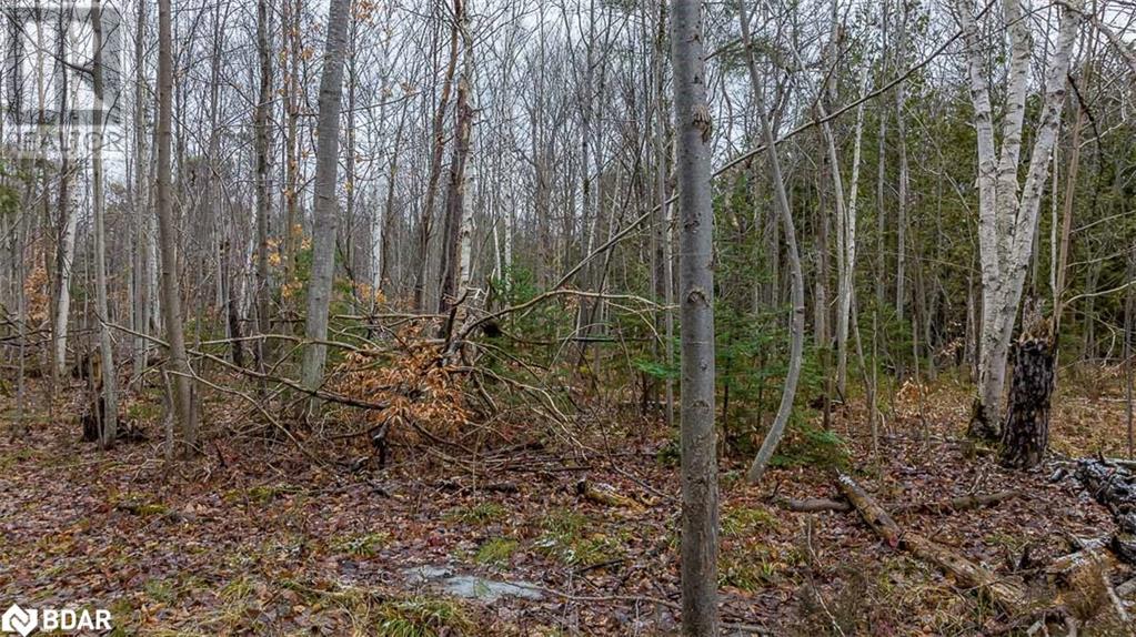 Listing 40136065 - Large Photo # 26